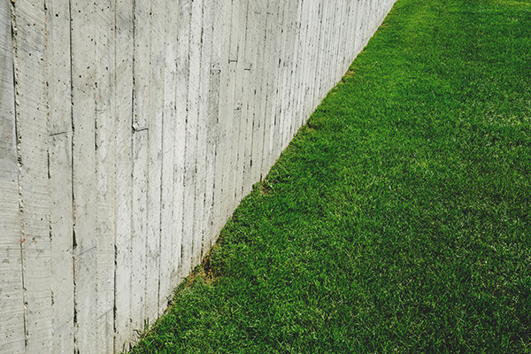lawn and garden maintenance reminder on how often to water your lawn from CC&M Landscapes